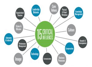 15 Critical Influences