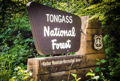 Tongass National Forest Christmas Tree lighting ceremony