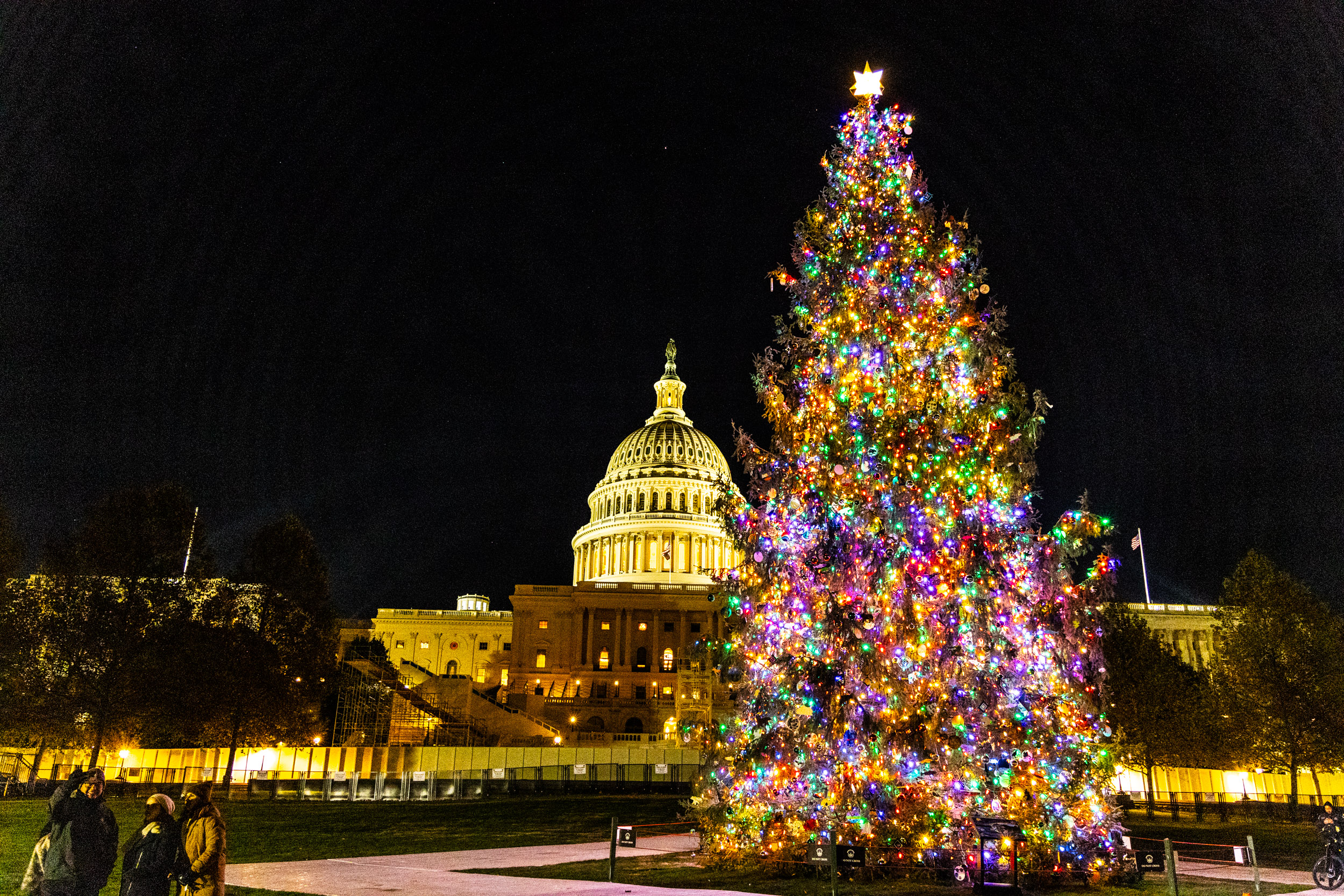 Tongass National Forest U.S. Capitol Christmas Tree campaign